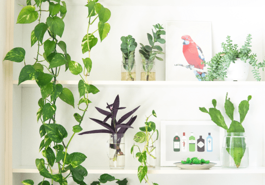 Discover the top 25 artists  you’ll want to collect in 202.